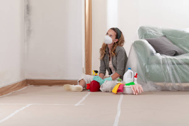Reliable Basement Mold Remediation contractor in New Providence, NJ by WQB Mold Removal